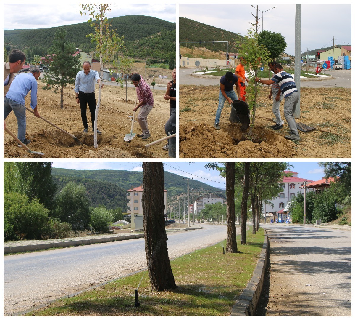 GÜZEL BİR ÇEVRE İÇİN İLÇEMİZDE PEYZAJ ÇALIŞMALARIMIZ ARALIKSIZ DEVAM ETTİ